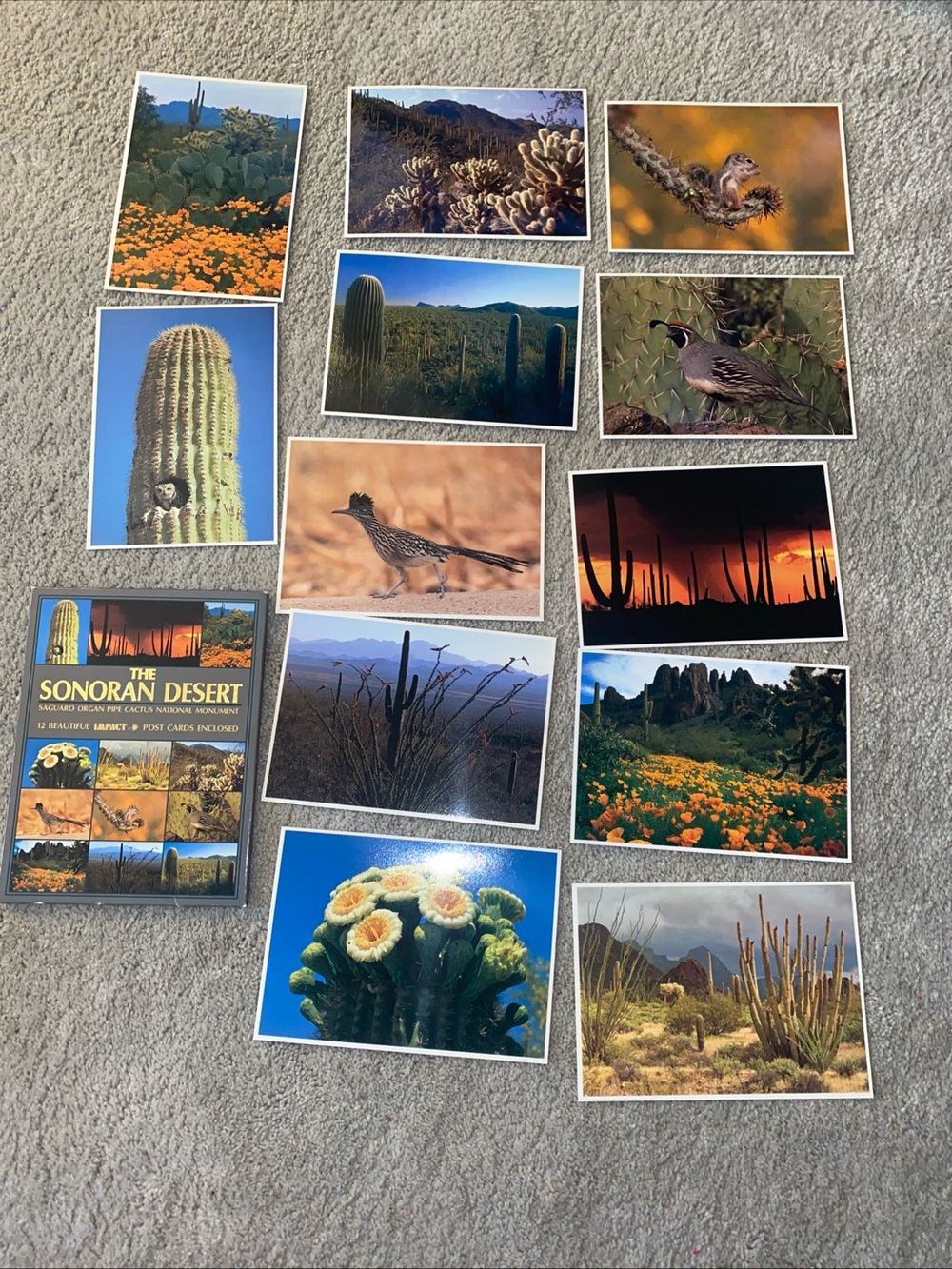 The Sonoran Desert National Monument 12 Postcards Vintage